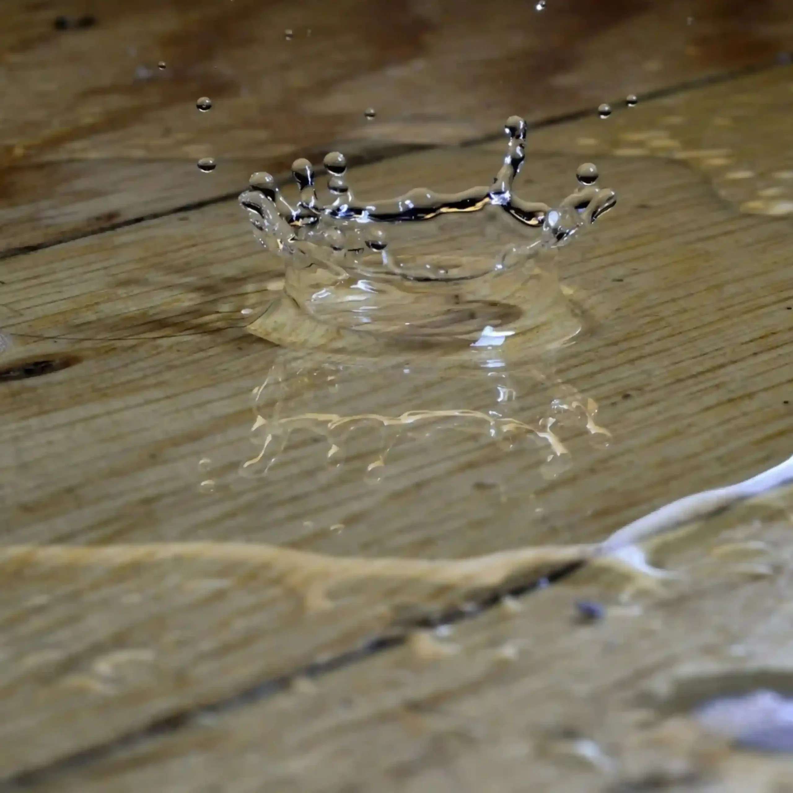 wasser_auf_laminat_11zon_3_11zon